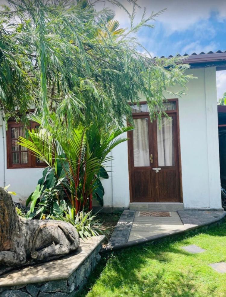 Ice Berg Lägenhet Dehiwala-Mount Lavinia Exteriör bild